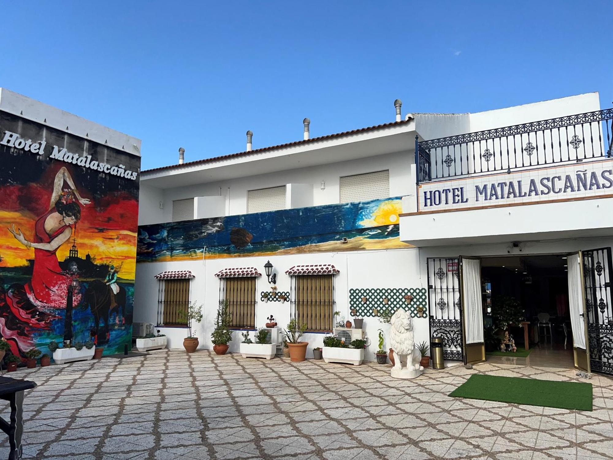 Hotel Hotel Matalascanas 3*